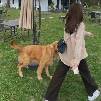 指定幸存者第三季 在线观看
